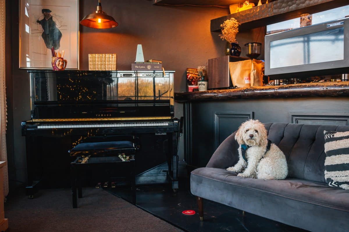 The Strines Nightingale